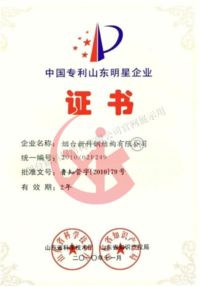 专利明星企业